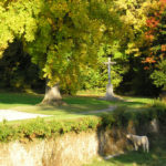 Parc Parc