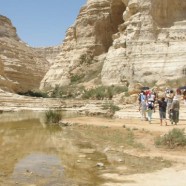 Un pèlerinage en Terre Sainte