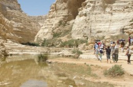 Un pèlerinage en Terre Sainte