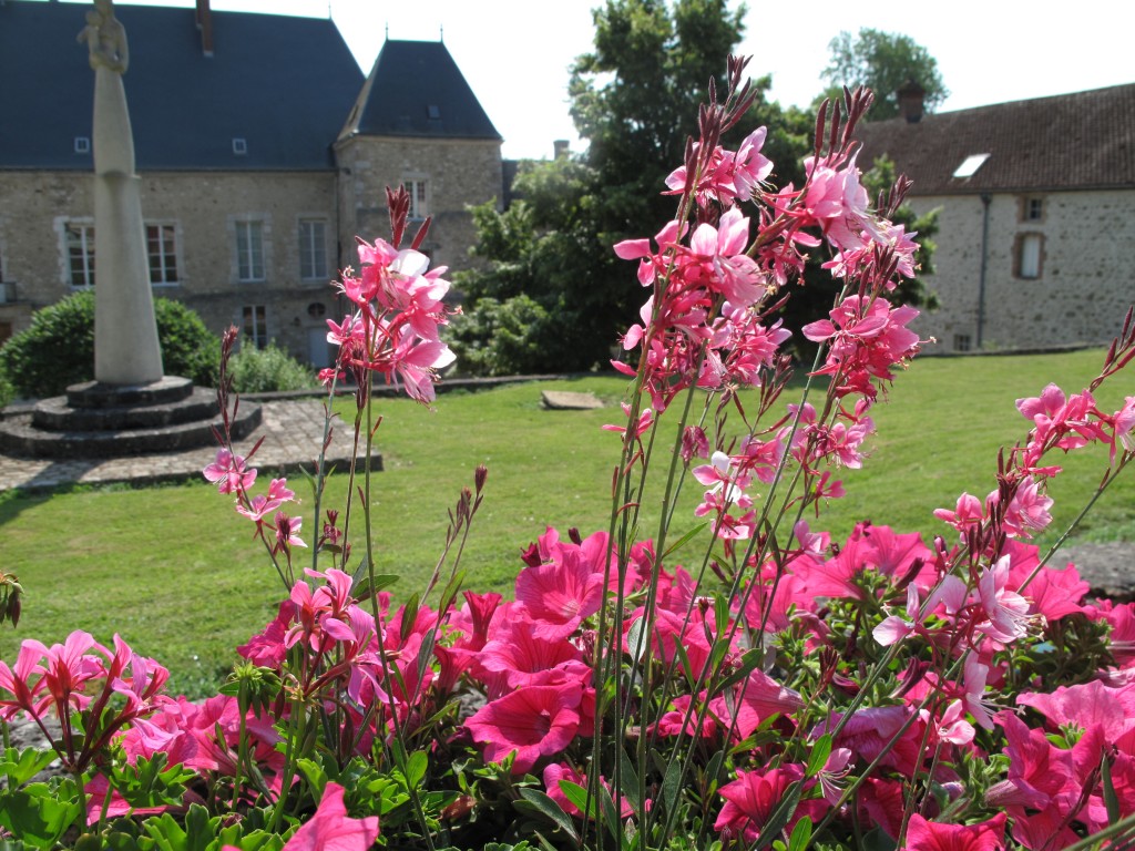 Que le Dieu de l’Espérance vous remplisse de toute joie et de paix dans la foi (Rm 15,13)