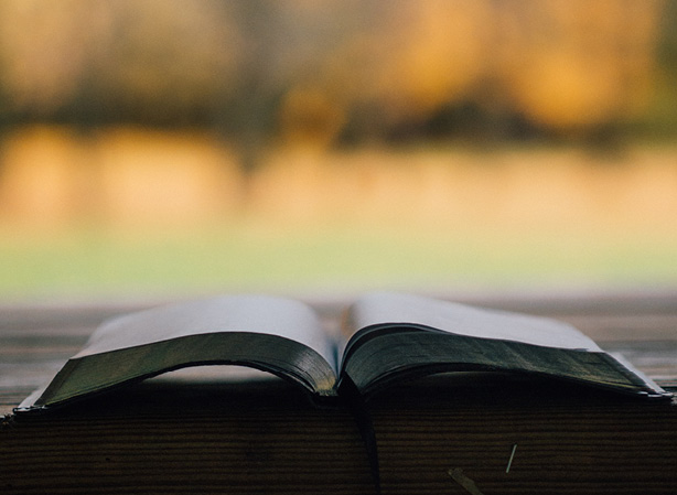Apprendre à aimer avec la bible